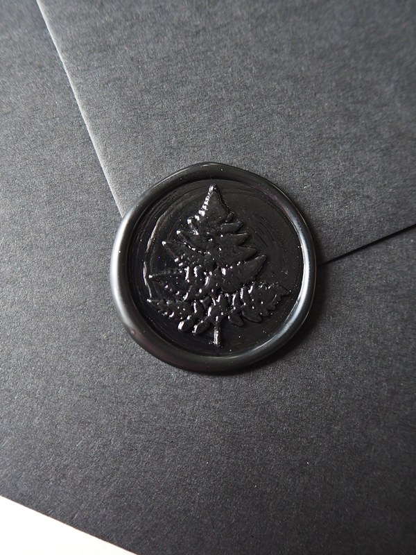 Odbicia lakowe - paproć - obrazek 6